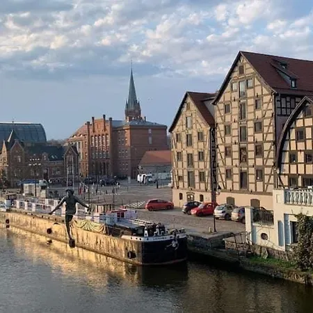 Firfas 6 بيدغوستيا